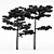 Dual Huangshan Pine Trees 3D model small image 3