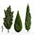 Mediterranean Cypress Collection - 3 Tall Models 3D model small image 1