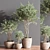 Elegant Indoor Plant Set 3D model small image 4
