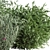 Mixed Plane Bush 03: Versatile 3D Model 3D model small image 3