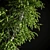 Elegant Birch Tree Mural 3D model small image 6