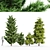 Elegant Leyland & Hinoki Cypress Trees 3D model small image 1