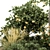 Citrus Delight: Lemon Tree and Bush 3D model small image 2