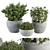 Gray Pot Outdoor Plant Set 3D model small image 1