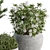 Gray Pot Outdoor Plant Set 3D model small image 2