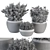 Gray Pot Outdoor Plant Set 3D model small image 5