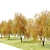 Willow Weeping Tree, Height 10m 3D model small image 2