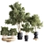 Green Oasis: 17-Piece Indoor Plant Set 3D model small image 1