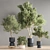 Green Oasis: 17-Piece Indoor Plant Set 3D model small image 3