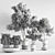 Green Oasis: 17-Piece Indoor Plant Set 3D model small image 7