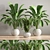 Green Oasis Indoor Plant Set 3D model small image 2