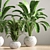 Green Oasis Indoor Plant Set 3D model small image 4