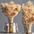 Collaction Plants Bouquet: Stunning Corona Floral Arrangement 3D model small image 2