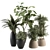 Green Oasis: Indoor Plant Set 3D model small image 1