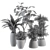 Green Oasis: Indoor Plant Set 3D model small image 5