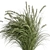 Pampas Bush Set: 42 Fresh & Dried 3D model small image 2