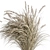 Pampas Bush Set: 42 Fresh & Dried 3D model small image 3