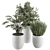 Green Oasis: 3-In-1 Indoor Plant Set 3D model small image 1