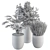 Green Oasis: 3-In-1 Indoor Plant Set 3D model small image 5