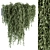 Green Oasis Hanging Plant Set 3D model small image 1
