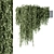 Green Oasis Hanging Plant Set 3D model small image 2