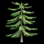 Natural Green Norfolk Island Pine 3D model small image 3