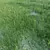 Optimal Grass Collection 3D model small image 2