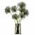 Greenery Delight: Cyperus Papyrus Bouquet 3D model small image 5