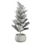 Enchanting Indoor Plants Collection 3D model small image 7