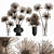 Elegant Papyrus Bouquet 3D model small image 1