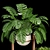 Tropical Oasis Indoor Plants 3D model small image 3