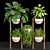 Tropical Oasis Indoor Plants 3D model small image 7