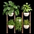 Tropical Oasis Indoor Plants 3D model small image 8