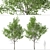 Himalayan Birch Tree Set (2 Trees) 3D model small image 3