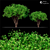 Corona Tree Render - High-Quality 3D Model 3D model small image 2