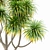 Tangihua Northland Mex. Fan Palm: 4K Texture, Multiple Models & Render Engines 3D model small image 2