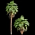 Tangihua Northland Mex. Fan Palm: 4K Texture, Multiple Models & Render Engines 3D model small image 4