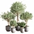 Cascading Greenery Indoor Plant Set 3D model small image 1