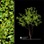 3m Tree Corona Render: High-Quality 3D Model 3D model small image 1
