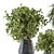 304 Indoor Plant Set: Potted Greenery 3D model small image 3