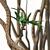 Exotic Duo: Ficus Pseudopalma (2 Trees) 3D model small image 5