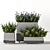 Title: Concrete Pot Outdoor Bushes 3D model small image 6