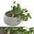 Green Oasis: Indoor Plants Set 3D model small image 1