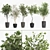Olive Tree, Ginkgo Biloba & More: 1050-Piece Decorative Plant Collection 3D model small image 1