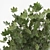 Olive Tree, Ginkgo Biloba & More: 1050-Piece Decorative Plant Collection 3D model small image 5