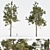 Pine Trees Pack Vol. 39 - High-Quality 3D Models 3D model small image 2