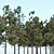 Pine Trees Pack Vol. 39 - High-Quality 3D Models 3D model small image 4