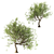 Canyon Oak Trees - Evergreen Beauty 3D model small image 3