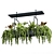 Hanging Plant Set - 05 Varieties 3D model small image 1