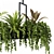 Hanging Plant Set - 05 Varieties 3D model small image 3